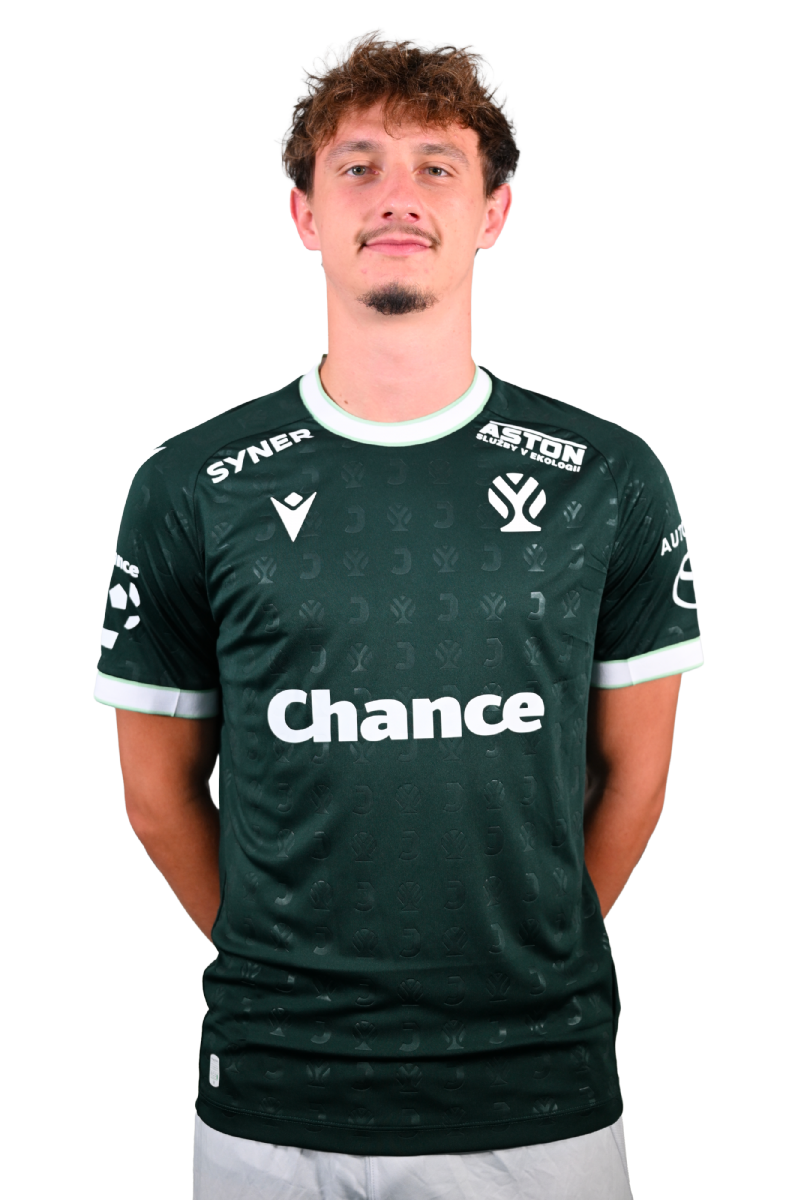 Dominik Hollý